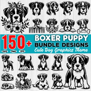 Puede incluir: Una descarga digital de más de 150 ilustraciones de cachorros boxer lindos en blanco y negro. Las ilustraciones son perfectas para crear camisetas, tazas, pegatinas y otras manualidades. El texto en la imagen dice "150+ Boxer Puppy Bundle Designs Cute Dog Graphics Theme SVG PNG EPS".