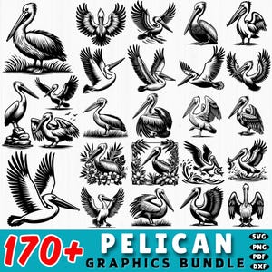 May include: A collection of 170+ pelican graphics in various poses and styles, rendered in black and white. The images include pelicans standing, flying, and perched, with some surrounded by floral elements. The bundle includes SVG, PNG, PDF, and DXF file formats.