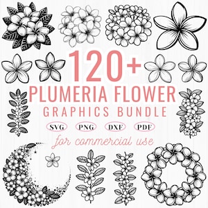Plumeria Flower SVG Bundle: Floral Clipart, Cricut Cut Files (Commercial Use)