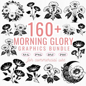 May include: A collection of black and white morning glory graphics. The image includes various floral arrangements, individual flowers, and the text "160+ MORNING GLORY GRAPHICS BUNDLE" with file type icons. The text "for commercial use" is also present.