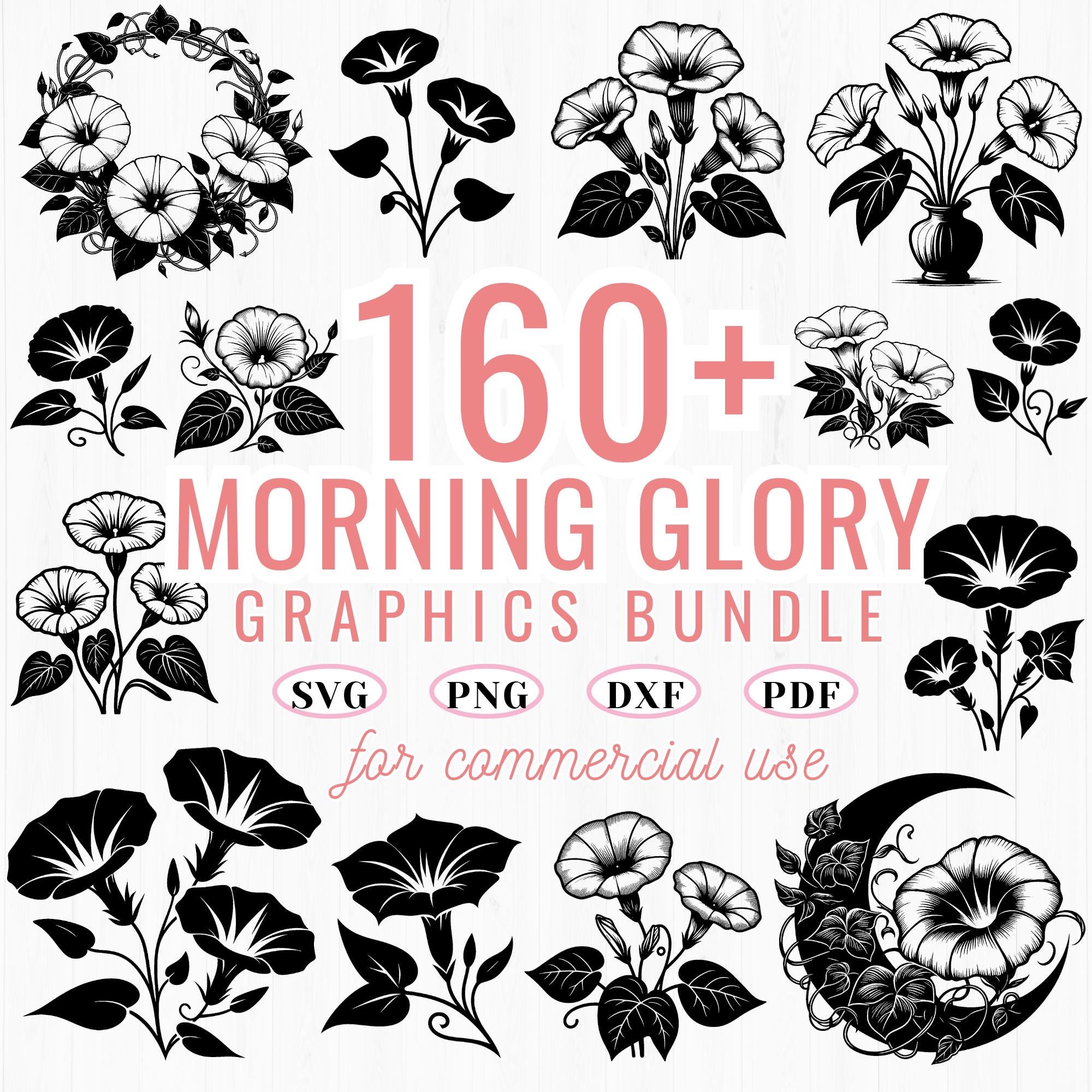 Morning Glory Flower SVG Bundle: 150+ Floral Clipart, Cricut Cut