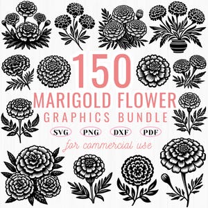 150 Marigold Flower SVG | DXF Bundle | Floral Clipart | Cricut Cut Files | Instant Download | Commercial Use