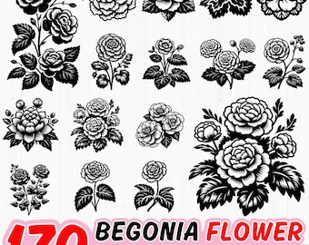 Könnte beinhalten: Ein Set mit 170 Schwarzweiß-Vektorillustrationen von Begonienblüten. Die Illustrationen sind in verschiedenen Stilen gehalten, darunter einzelne Blüten, Sträuße und Blumenarrangements. Die Illustrationen eignen sich perfekt für den Einsatz in digitalen und Druckprojekten.