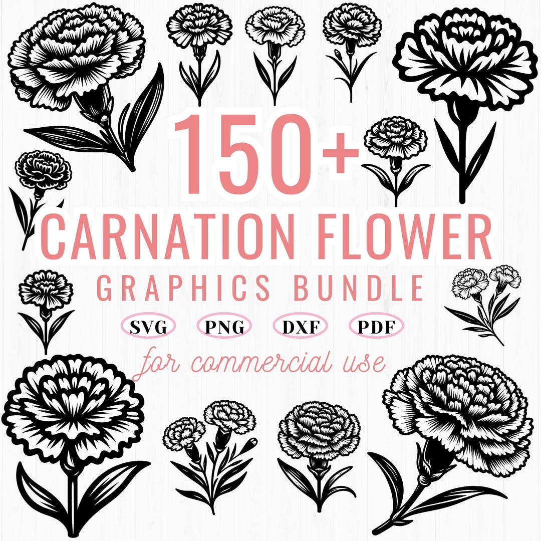 150+ Carnation Flower SVG Bundle: Floral Clipart, Botanical Line Art ...