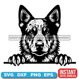 Peeking Dogs SVG, RED HEELER Peeking Paws, Cute Dog Breed, K-9 Animal, Pet Puppy Canine, Digital download