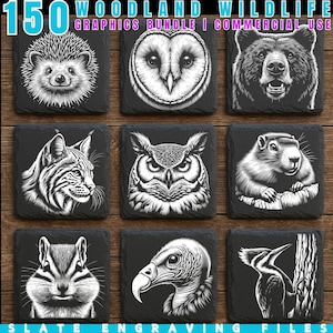 150 Woodland Wildlife PNG Bundle | Slate Engraving Files | Deer Bear Wolf Fox Digital Art | Rustic Nature Animals Clipart | Commercial Use