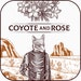 Coyote