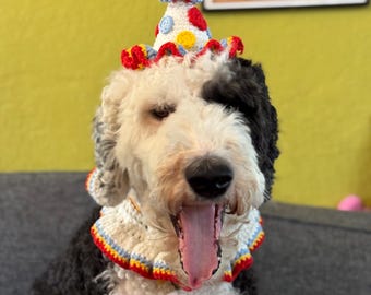 Mönster för virkade clownkragar