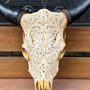 Hand Carved Cow Skull with Buffalo Horns: Wall Decor
