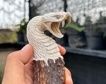 Antler carving snake for knife handles.