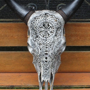 Hand Carved Cow Skull with Buffalo Horns - Wall Decor