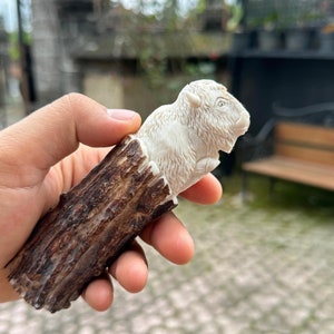 Op de afbeelding: Een hand houdt een gesneden houten handvat vast met een wit bisonbeeld erop. Het handvat is gemaakt van donkerbruin hout met een ruwe textuur. De bison is gedetailleerd gesneden en heeft een witte, harige vacht.