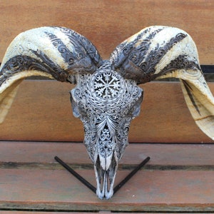 BIG RAM skull carving with beautiful horn - carved HUGE ram skull with horn carving.
