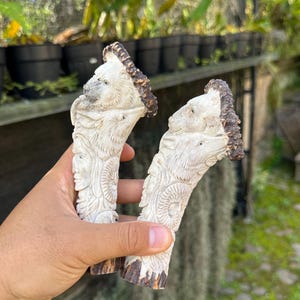 Peut inclure: Deux manches en corne sculptée avec des motifs complexes. Les manches sont blanc cassé avec des pointes marron et présentent des sculptures détaillées de visages d'animaux et d'autres motifs. Le fond montre de la verdure et des plantes en pot.