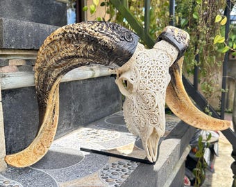 ヤギの頭蓋骨を彫る - Etsy 日本