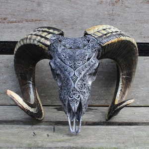 CARVED Ram skull - REAL hand carved ram skull decor, ram skull carving with horn.