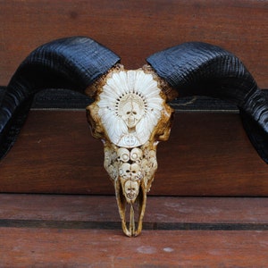 Carved ram skull - REAL hand carved ram skull indian skull motif with black horn.