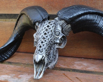 CARVED Ram skull - REAL hand carved ram skull decor with black white horn.