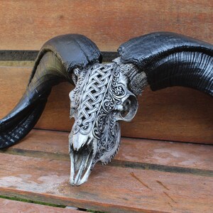 May include: A decorative skull with intricate carvings and black horns. The skull is made of bone and has a white finish. The horns are long and curved.
