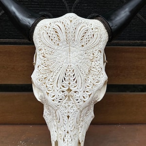 Original cow skull from Bali  - real hand carved cow skull wall hanging.