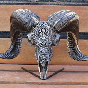 CARVED Ram skull - REAL hand carved ram skull decor, ram skull carving with horn.