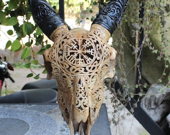 Carved goat skull - REAL hand carved goat skull with horn.