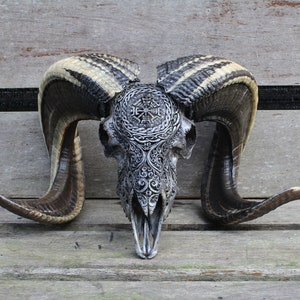 Teschio di ariete intagliato a mano: decorazione per la casa grigia