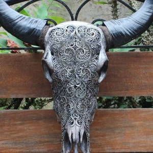 Buffalo skull carving - REAL hand carved buffalo skull with horn.