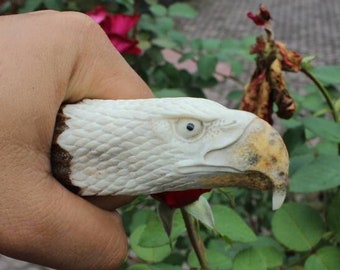 Antler carving - hand carved deer antler head eagle for knife handle.
