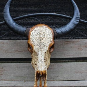 Teschio di bufalo intagliato con corno nero - scultura vichinga.