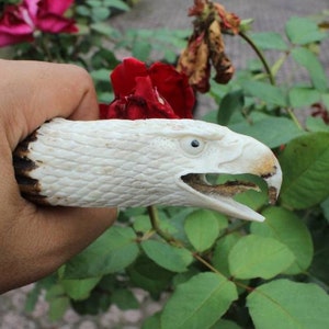 Antler carving, hand carved head eagle for knife handles.