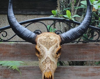 North American Buffalo Skull - Etsy 日本