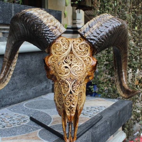 Ram skull - Carved sheep skull decor, ram skull carving with horn.