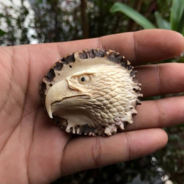 Antler carving, hand carved face eagle for pendant.