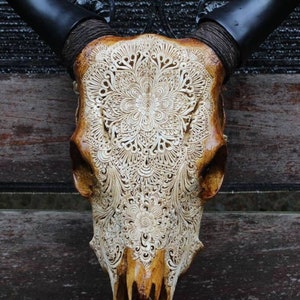 Hand Carved Cow Skull with Buffalo Horns: Rustic Wall Decor