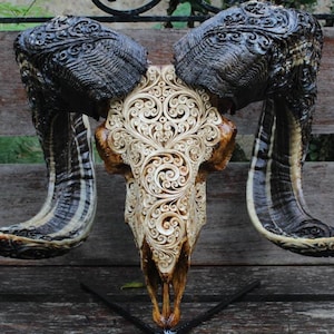 May include: A carved ram skull with intricate floral patterns. The skull is off-white with brown accents, and the horns are dark brown and cream-colored. The carving is detailed and ornate, showcasing a unique decorative piece.