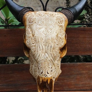 Cow skull carving - REAL cow skull wall decor | carving original.