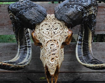 CARVED RAM skull with horn -  BIG ram skull decor with horn carving | ram skull wall decor.