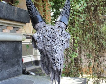 Carved goat skull - REAL hand carved goat skull with horn.