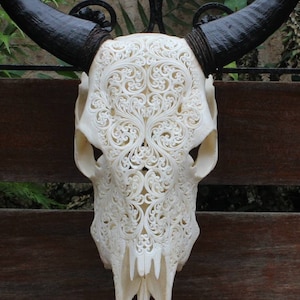 May include: A white cow skull with intricate carved floral designs. The skull has black horns and is displayed on a wooden surface.