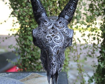 Goat skull - ORIGINAL carved goat skull with horn carving.