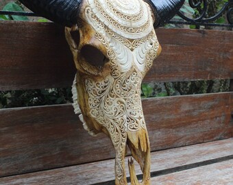 角付き手彫りバッファロースカル壁装飾 - Etsy 日本