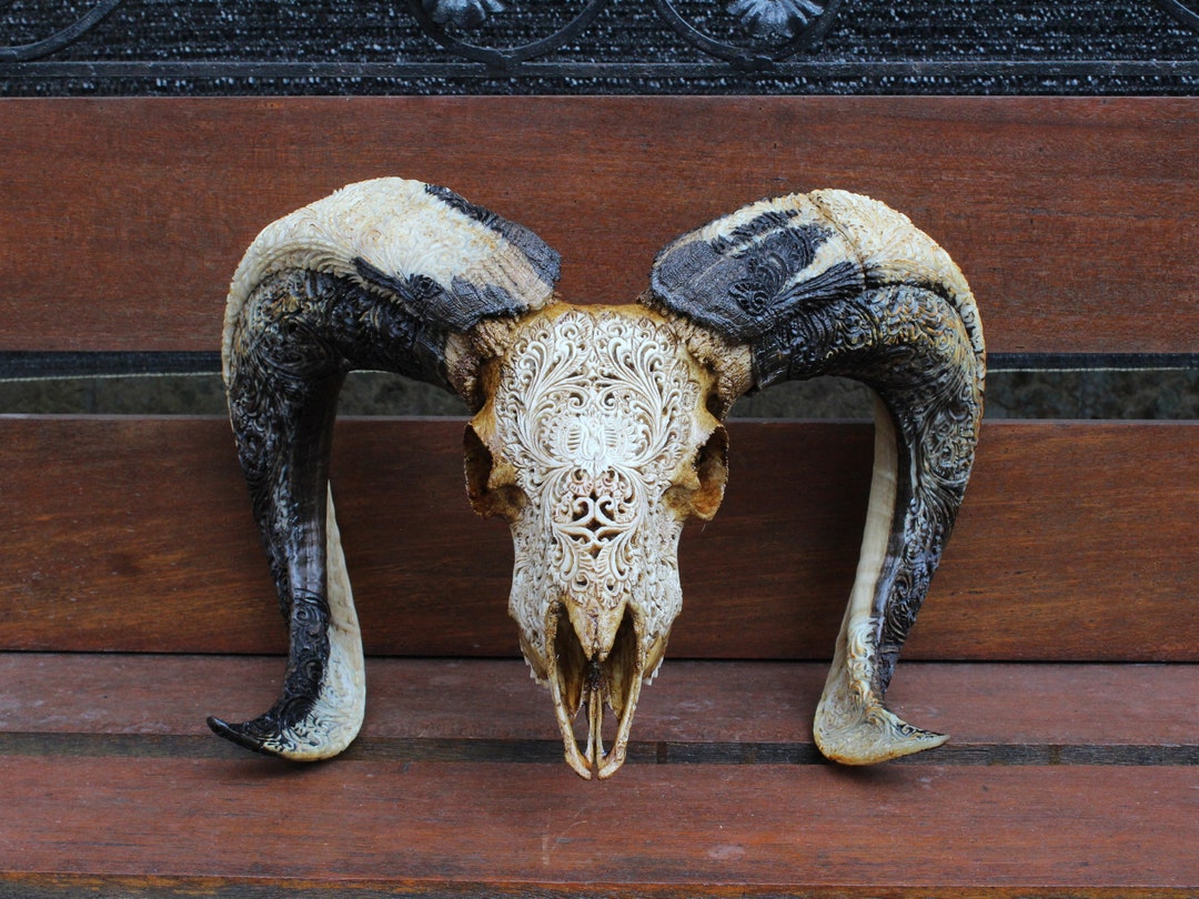 Hand Carved Ram Skull With Horns: Brown Antic Home Decor - Etsy