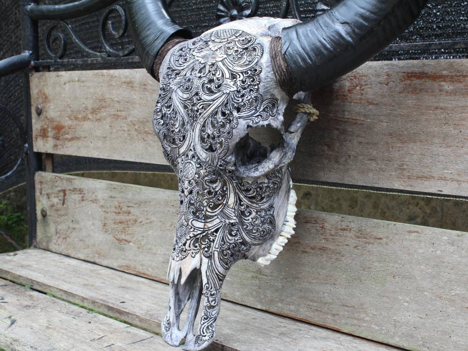 黒い角を持つ手彫りの水牛の頭蓋骨 - Etsy 日本