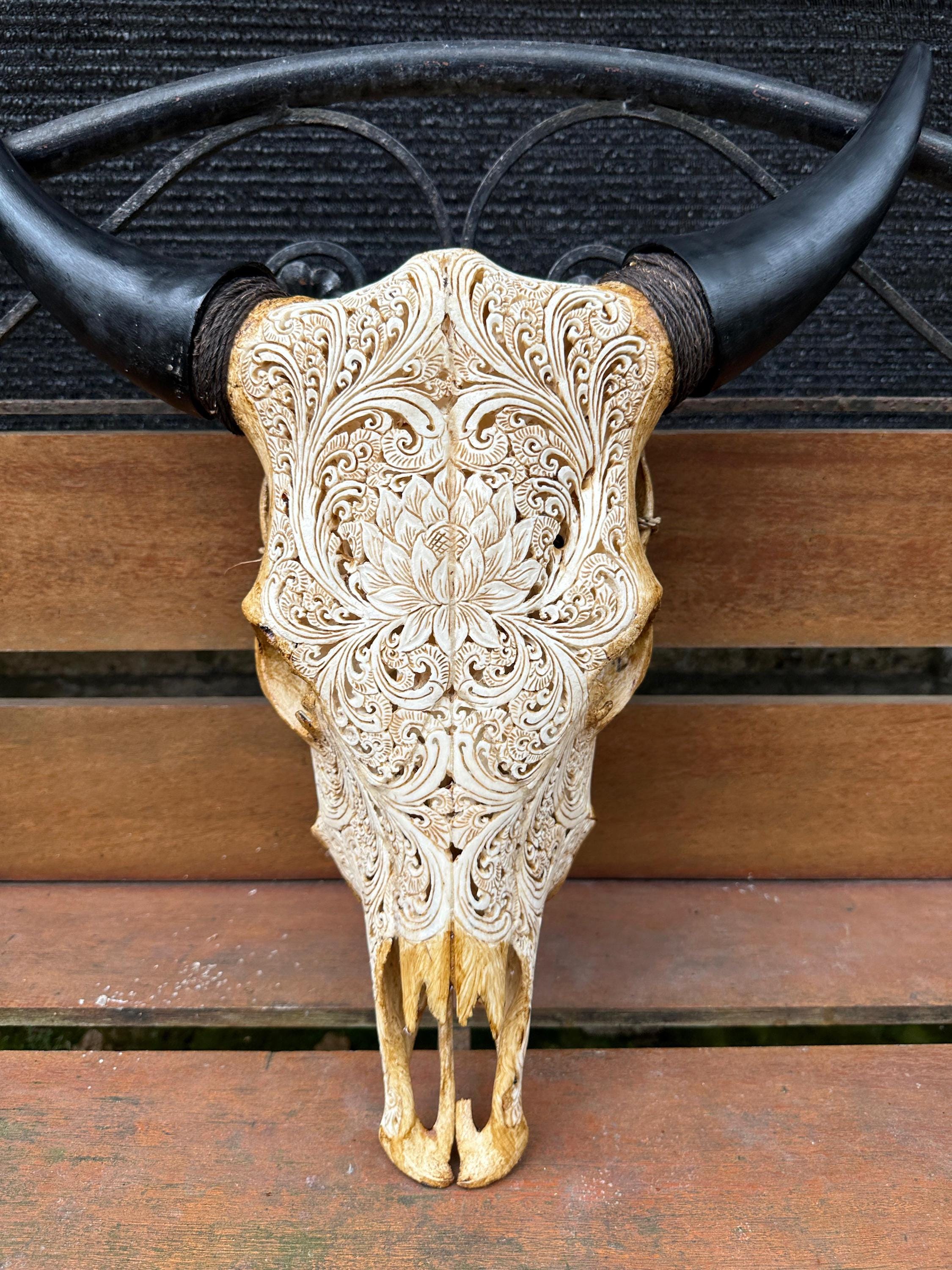 手彫りの牛の頭蓋骨と水牛の角：壁飾り - Etsy 日本