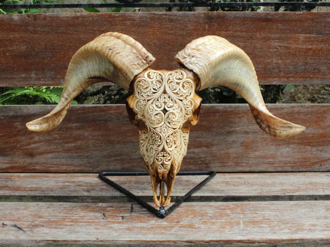 Hand Carved Ram Skull: Brown Antic Home Decor - Etsy Canada
