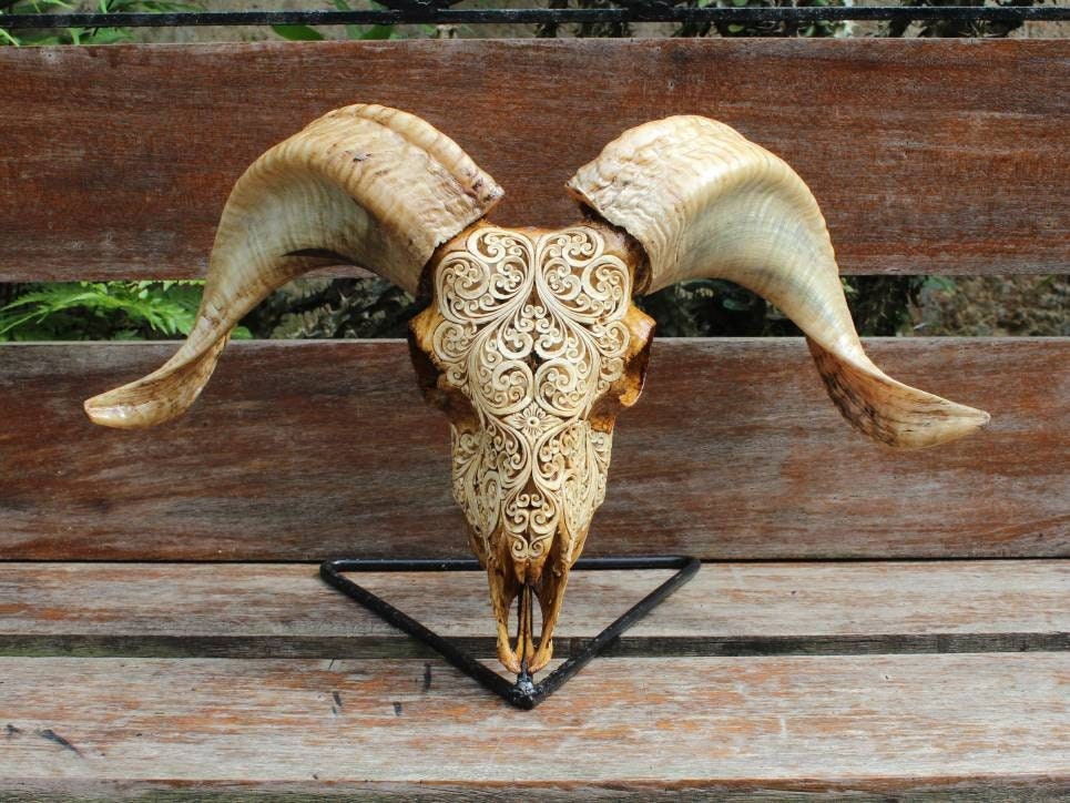 さ*く様 雄山羊のスカルオブジェ さ*く様 雄山羊のスカルオブジェ さ*く様 雄山羊の