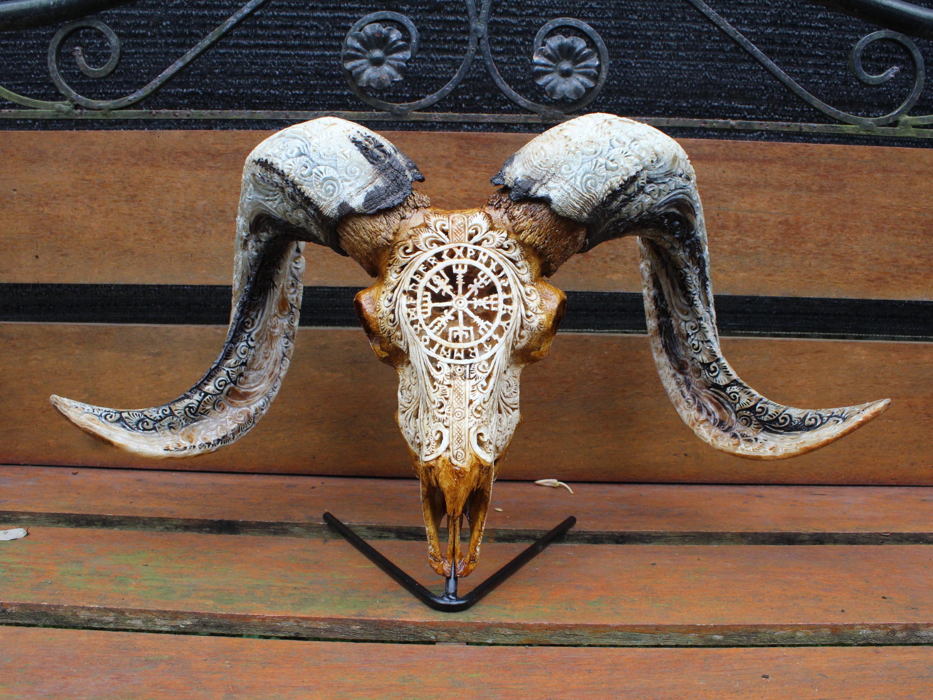 雄羊 角のある雄羊の写真 - 無料の高画質写真をダウンロード | Freepik