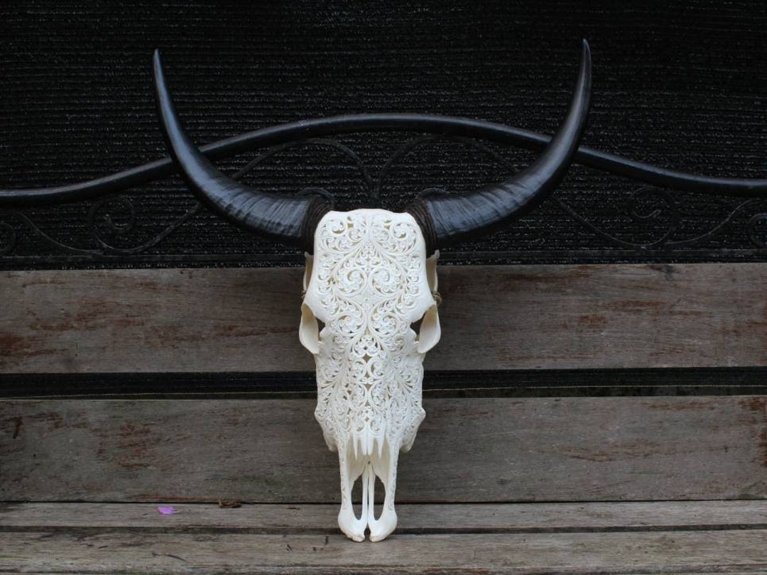 手彫りの牛の頭蓋骨と水牛の角：壁飾り - Etsy 日本