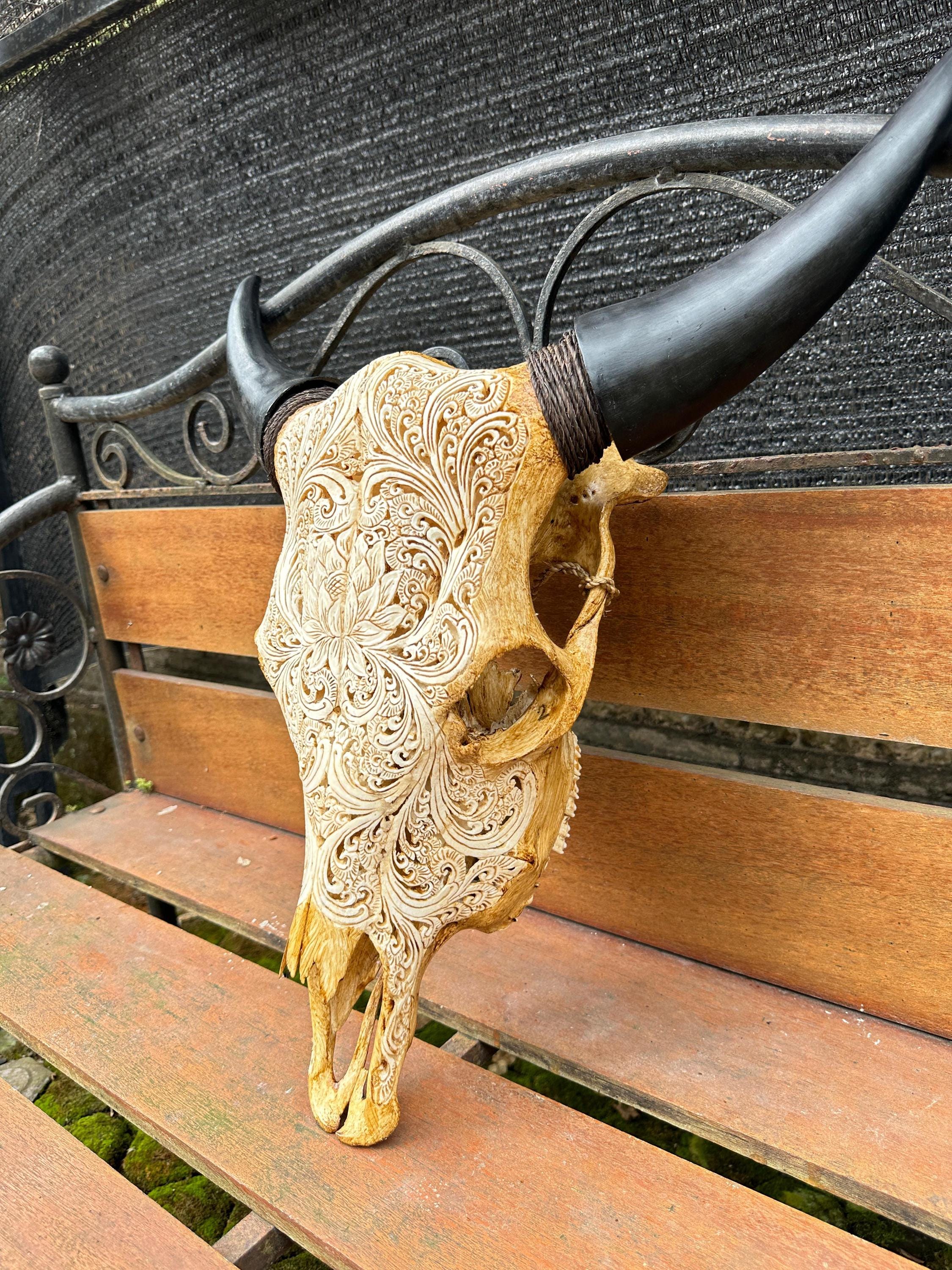手彫りの牛の頭蓋骨と水牛の角：壁飾り - Etsy 日本